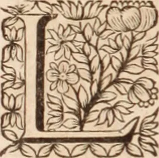 An illustration from Zacuti Lusitani Opera omnia, 1667, leaf 75