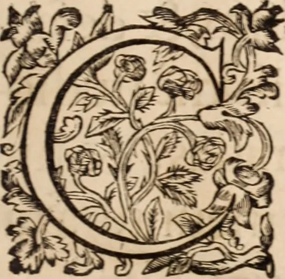 An illustration from Zacuti Lusitani Opera omnia, 1667, leaf 8