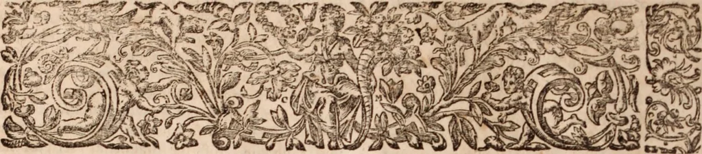 An illustration from Zacuti Lusitani Opera omnia, 1667, leaf 981