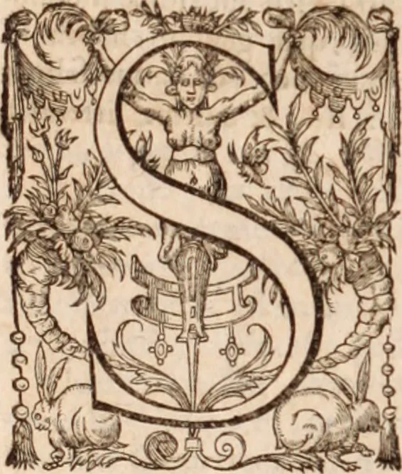 An illustration from Zacuti Lusitani Opera omnia, 1667, leaf 981