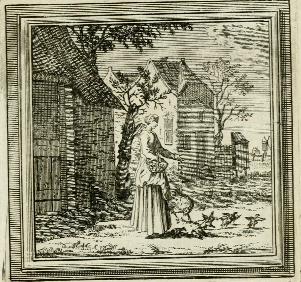 An illustration from Zederyke zinnebeelden der tonge, 1716, leaf 288