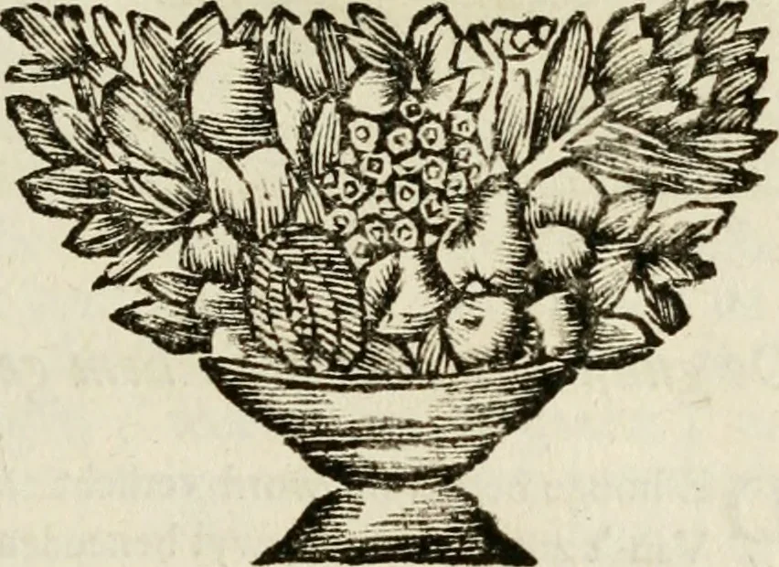An illustration from Zederyke zinnebeelden : vertoont in konstplaten, door kragtige redeneeringen en maat-digten nutte van het menschelyke leven toegepast, 1713, leaf 102