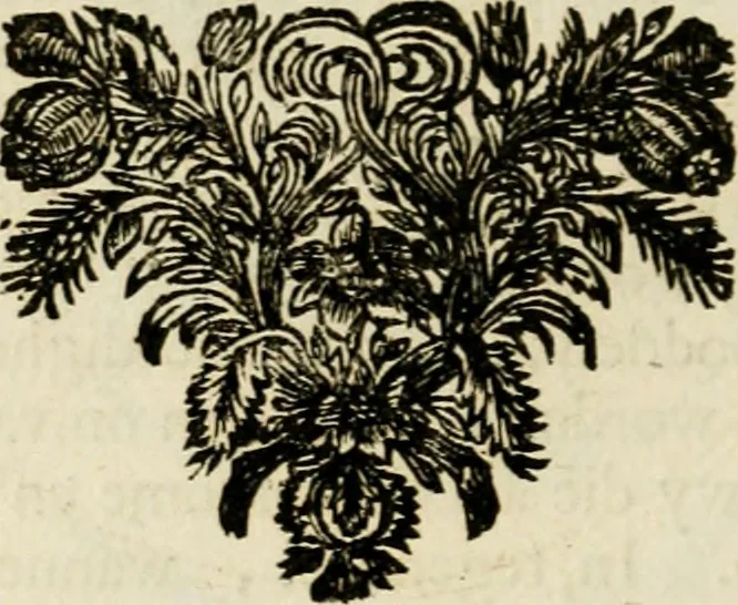An illustration from Zederyke zinnebeelden : vertoont in konstplaten, door kragtige redeneeringen en maat-digten nutte van het menschelyke leven toegepast, 1713, leaf 129