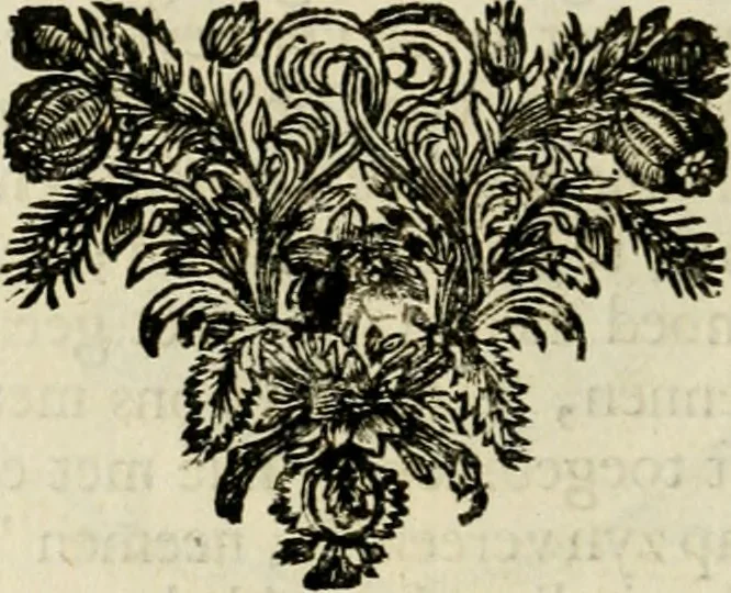 An illustration from Zederyke zinnebeelden : vertoont in konstplaten, door kragtige redeneeringen en maat-digten nutte van het menschelyke leven toegepast, 1713, leaf 145
