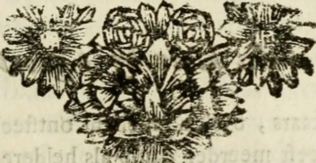 An illustration from Zederyke zinnebeelden : vertoont in konstplaten, door kragtige redeneeringen en maat-digten nutte van het menschelyke leven toegepast, 1713, leaf 148