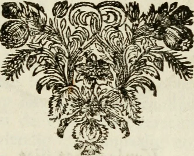 An illustration from Zederyke zinnebeelden : vertoont in konstplaten, door kragtige redeneeringen en maat-digten nutte van het menschelyke leven toegepast, 1713, leaf 164