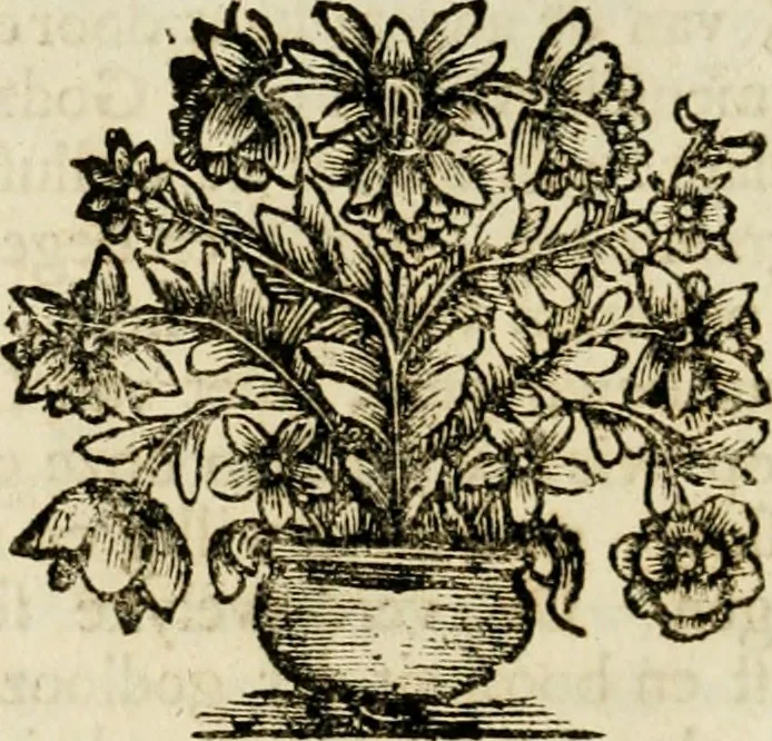 An illustration from Zederyke zinnebeelden : vertoont in konstplaten, door kragtige redeneeringen en maat-digten nutte van het menschelyke leven toegepast, 1713, leaf 175