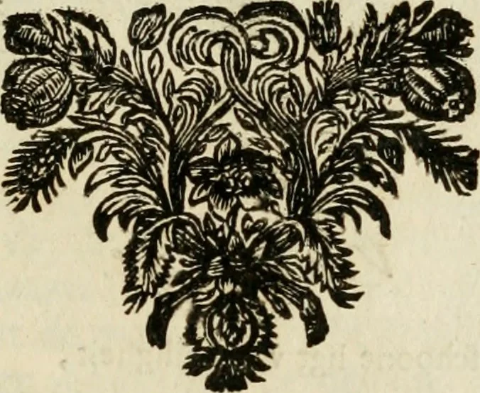 An illustration from Zederyke zinnebeelden : vertoont in konstplaten, door kragtige redeneeringen en maat-digten nutte van het menschelyke leven toegepast, 1713, leaf 190