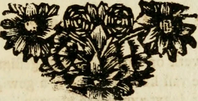 An illustration from Zederyke zinnebeelden : vertoont in konstplaten, door kragtige redeneeringen en maat-digten nutte van het menschelyke leven toegepast, 1713, leaf 196