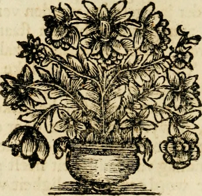 An illustration from Zederyke zinnebeelden : vertoont in konstplaten, door kragtige redeneeringen en maat-digten nutte van het menschelyke leven toegepast, 1713, leaf 199