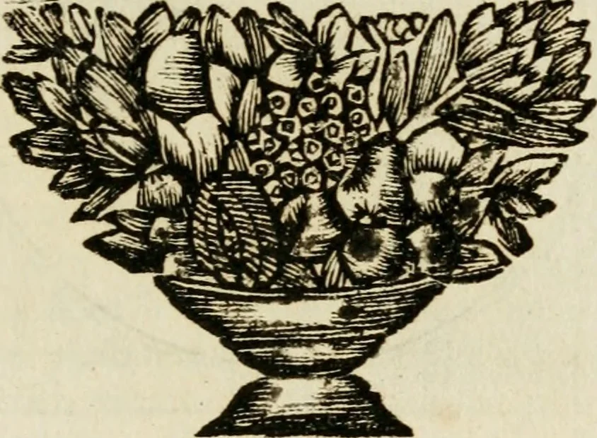 An illustration from Zederyke zinnebeelden : vertoont in konstplaten, door kragtige redeneeringen en maat-digten nutte van het menschelyke leven toegepast, 1713, leaf 202
