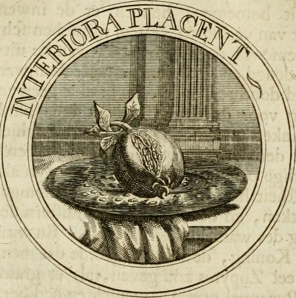 An illustration from Zederyke zinnebeelden : vertoont in konstplaten, door kragtige redeneeringen en maat-digten nutte van het menschelyke leven toegepast, 1713, leaf 206