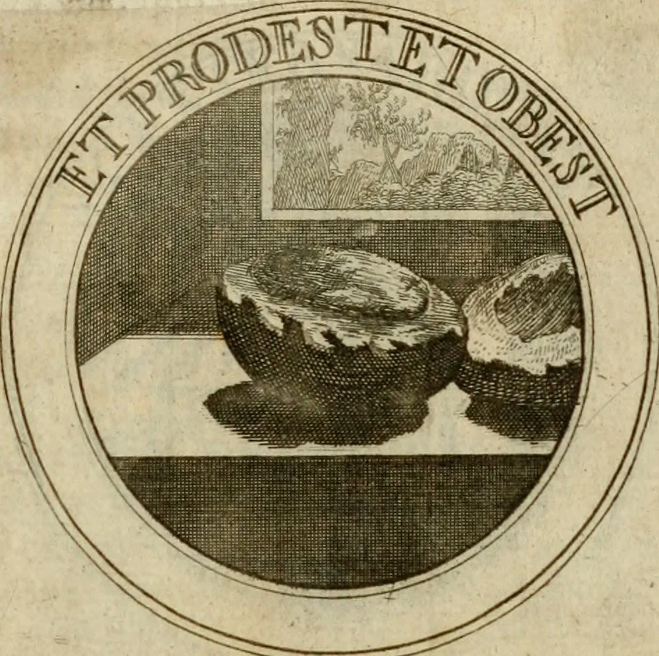 An illustration from Zederyke zinnebeelden : vertoont in konstplaten, door kragtige redeneeringen en maat-digten nutte van het menschelyke leven toegepast, 1713, leaf 212