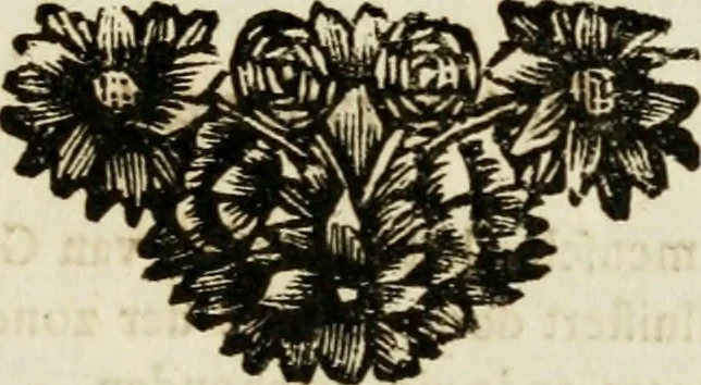 An illustration from Zederyke zinnebeelden : vertoont in konstplaten, door kragtige redeneeringen en maat-digten nutte van het menschelyke leven toegepast, 1713, leaf 220