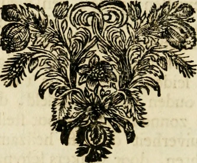 An illustration from Zederyke zinnebeelden : vertoont in konstplaten, door kragtige redeneeringen en maat-digten nutte van het menschelyke leven toegepast, 1713, leaf 223