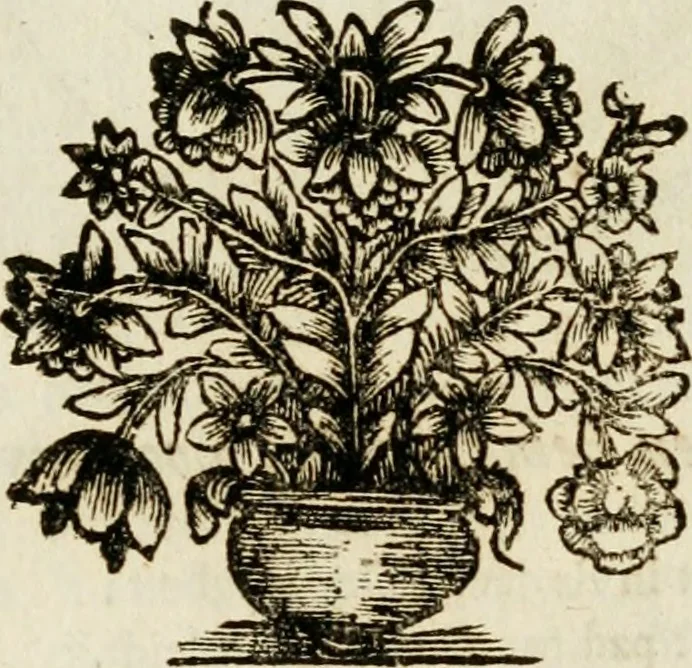 An illustration from Zederyke zinnebeelden : vertoont in konstplaten, door kragtige redeneeringen en maat-digten nutte van het menschelyke leven toegepast, 1713, leaf 230