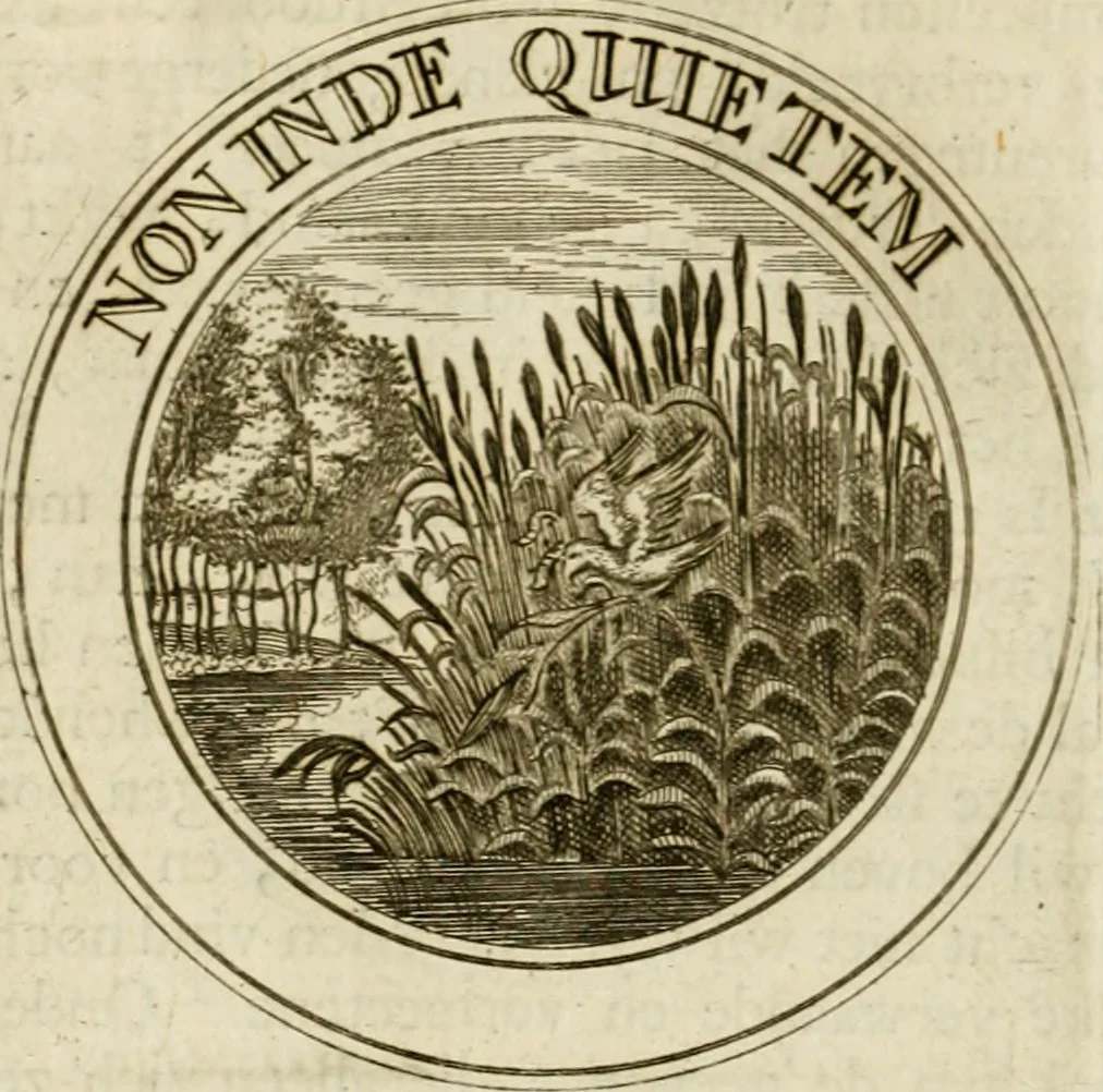 An illustration from Zederyke zinnebeelden : vertoont in konstplaten, door kragtige redeneeringen en maat-digten nutte van het menschelyke leven toegepast, 1713, leaf 29