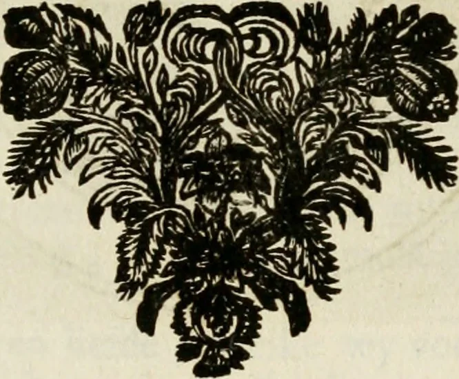 An illustration from Zederyke zinnebeelden : vertoont in konstplaten, door kragtige redeneeringen en maat-digten nutte van het menschelyke leven toegepast, 1713, leaf 38