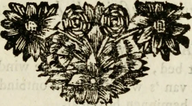 An illustration from Zederyke zinnebeelden : vertoont in konstplaten, door kragtige redeneeringen en maat-digten nutte van het menschelyke leven toegepast, 1713, leaf 46