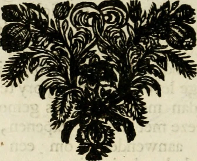 An illustration from Zederyke zinnebeelden : vertoont in konstplaten, door kragtige redeneeringen en maat-digten nutte van het menschelyke leven toegepast, 1713, leaf 51