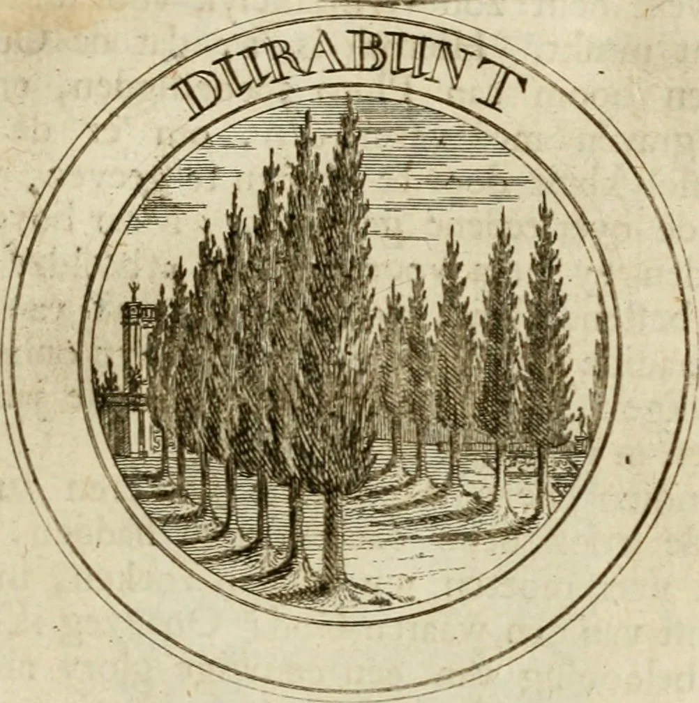 An illustration from Zederyke zinnebeelden : vertoont in konstplaten, door kragtige redeneeringen en maat-digten nutte van het menschelyke leven toegepast, 1713, leaf 68