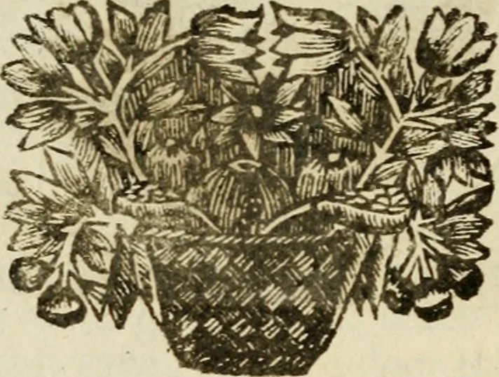 An illustration from Zederyke zinnebeelden : vertoont in konstplaten, door kragtige redeneeringen en maat-digten nutte van het menschelyke leven toegepast, 1713, leaf 70