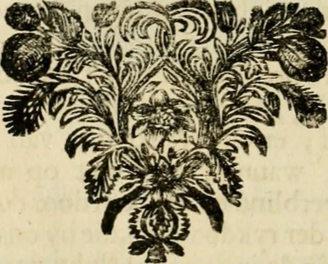 An illustration from Zederyke zinnebeelden : vertoont in konstplaten, door kragtige redeneeringen en maat-digten nutte van het menschelyke leven toegepast, 1713, leaf 75