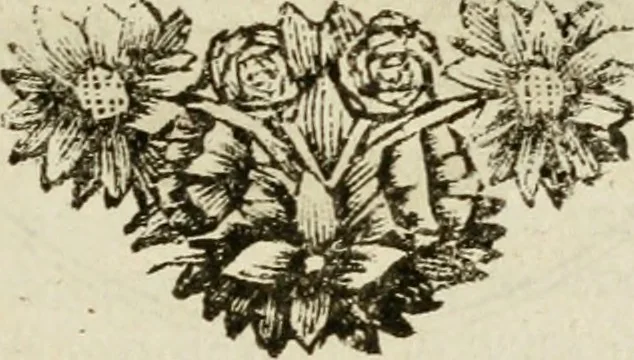 An illustration from Zederyke zinnebeelden : vertoont in konstplaten, door kragtige redeneeringen en maat-digten nutte van het menschelyke leven toegepast, 1713, leaf 82