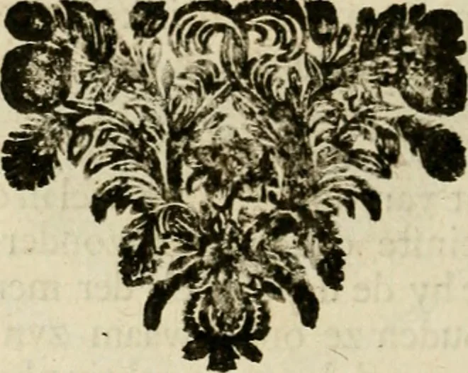 An illustration from Zederyke zinnebeelden : vertoont in konstplaten, door kragtige redeneeringen en maat-digten nutte van het menschelyke leven toegepast, 1713, leaf 85