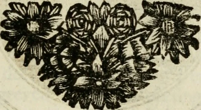 An illustration from Zederyke zinnebeelden : vertoont in konstplaten, door kragtige redeneeringen en maat-digten nutte van het menschelyke leven toegepast, 1713, leaf 94