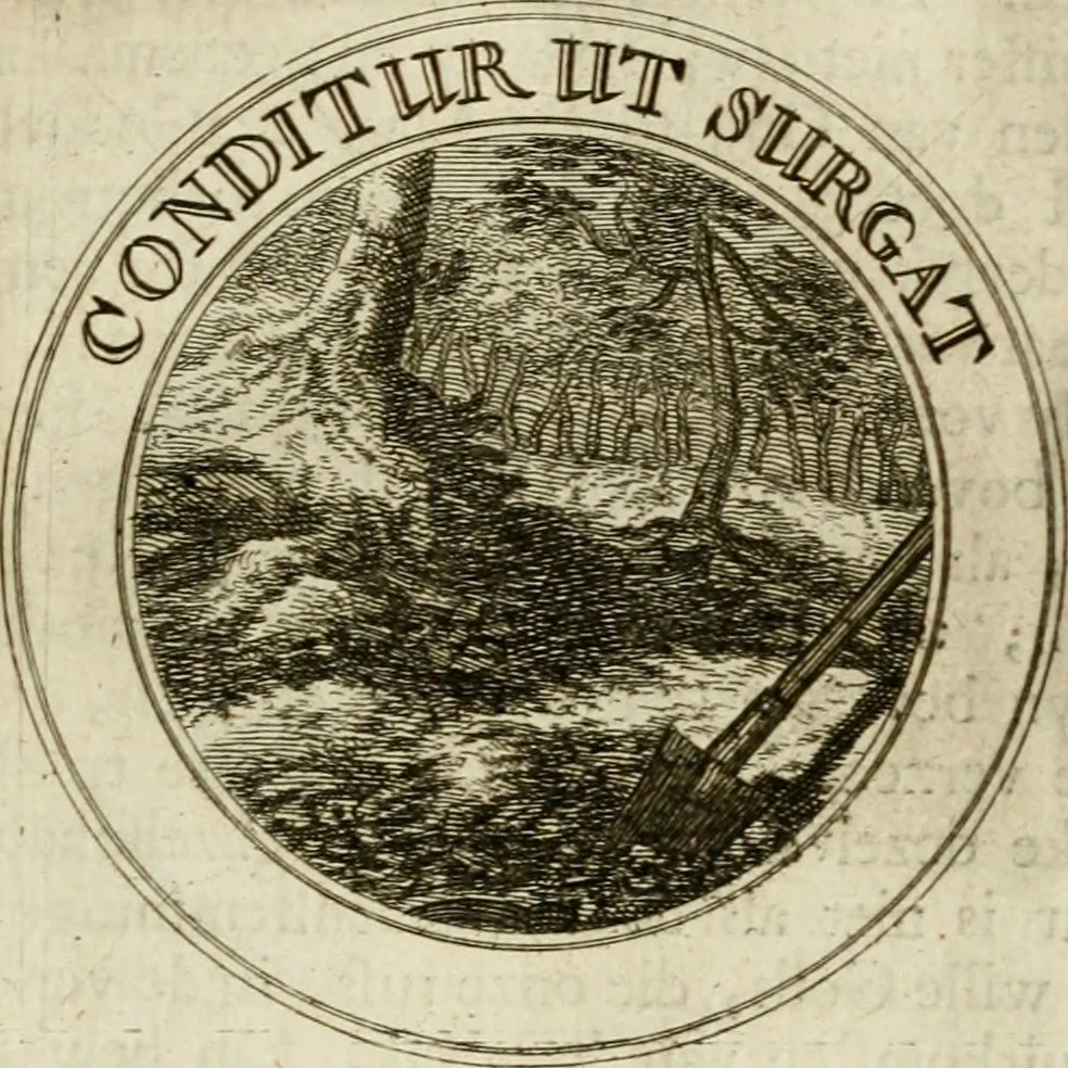 An illustration from Zederyke zinnebeelden : vertoont in konstplaten, door kragtige redeneeringen en maat-digten nutte van het menschelyke leven toegepast, 1713, leaf 98