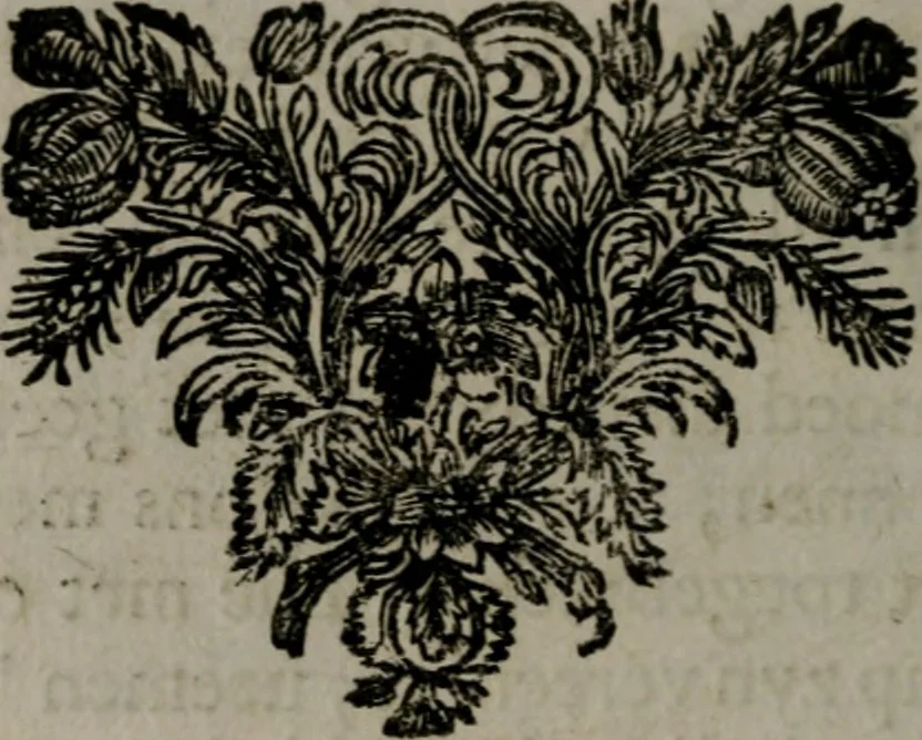 An illustration from Zederyke zinnebeelden in hondert kunstplaten vertoont, 1717, leaf 151