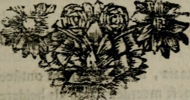 An illustration from Zederyke zinnebeelden in hondert kunstplaten vertoont, 1717, leaf 154