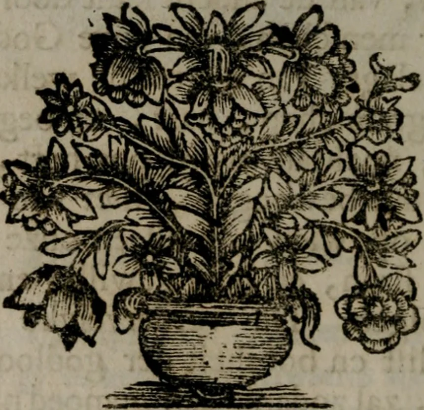 An illustration from Zederyke zinnebeelden in hondert kunstplaten vertoont, 1717, leaf 181