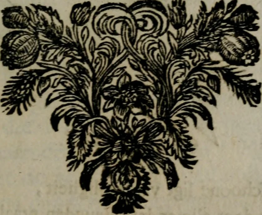 An illustration from Zederyke zinnebeelden in hondert kunstplaten vertoont, 1717, leaf 196