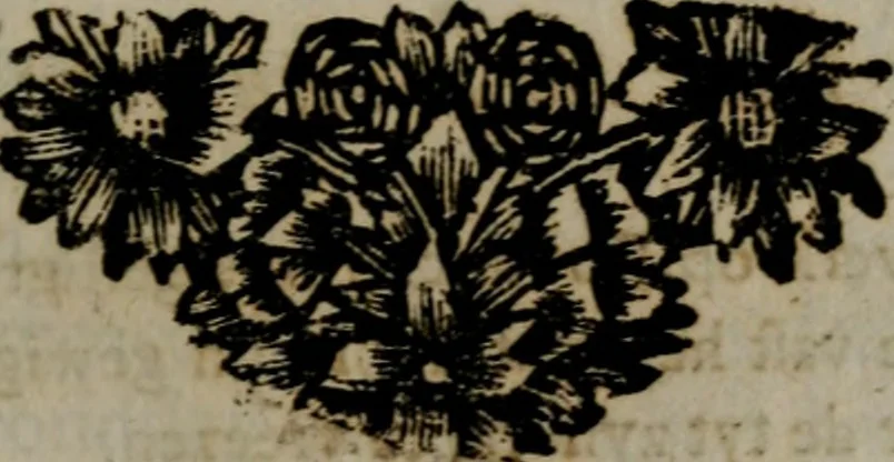 An illustration from Zederyke zinnebeelden in hondert kunstplaten vertoont, 1717, leaf 202