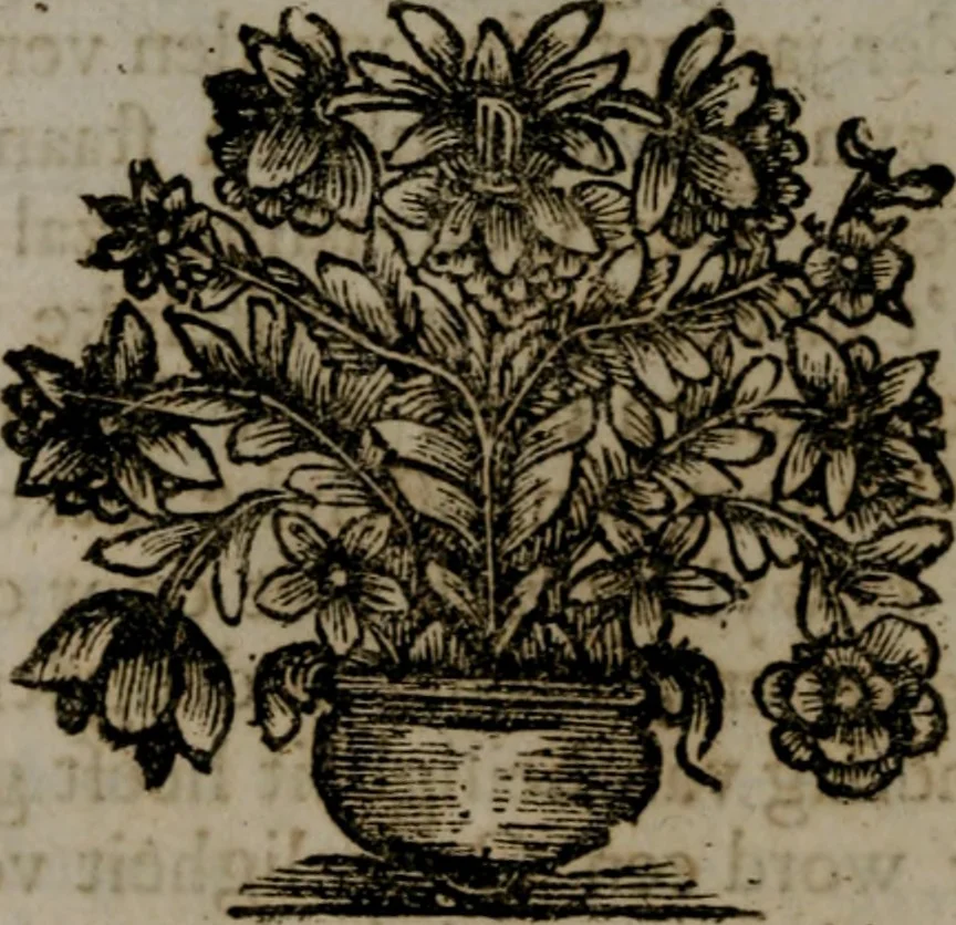 An illustration from Zederyke zinnebeelden in hondert kunstplaten vertoont, 1717, leaf 205