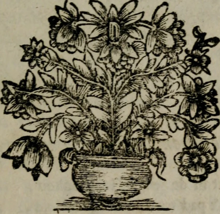 An illustration from Zederyke zinnebeelden in hondert kunstplaten vertoont, 1717, leaf 236