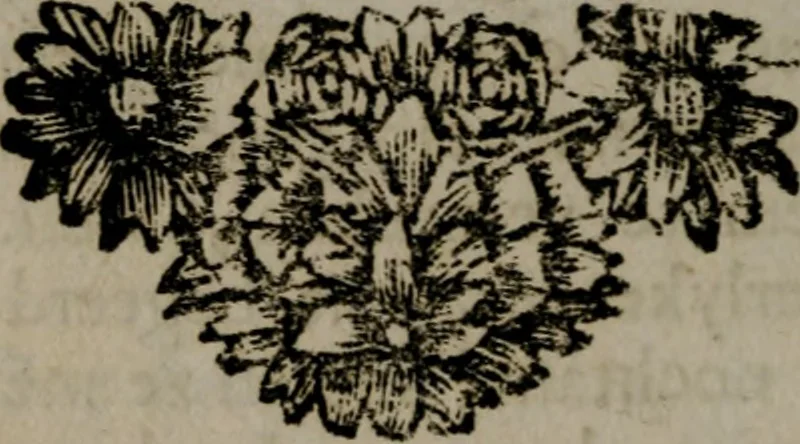 An illustration from Zederyke zinnebeelden in hondert kunstplaten vertoont, 1717, leaf 239