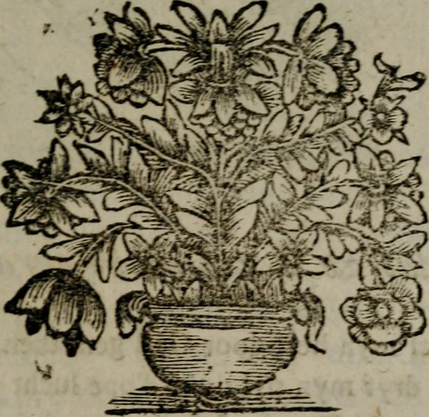 An illustration from Zederyke zinnebeelden in hondert kunstplaten vertoont, 1717, leaf 248
