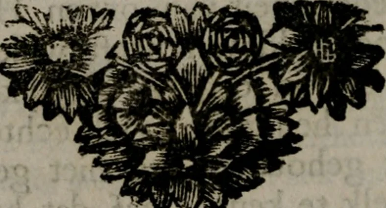 An illustration from Zederyke zinnebeelden in hondert kunstplaten vertoont, 1717, leaf 47