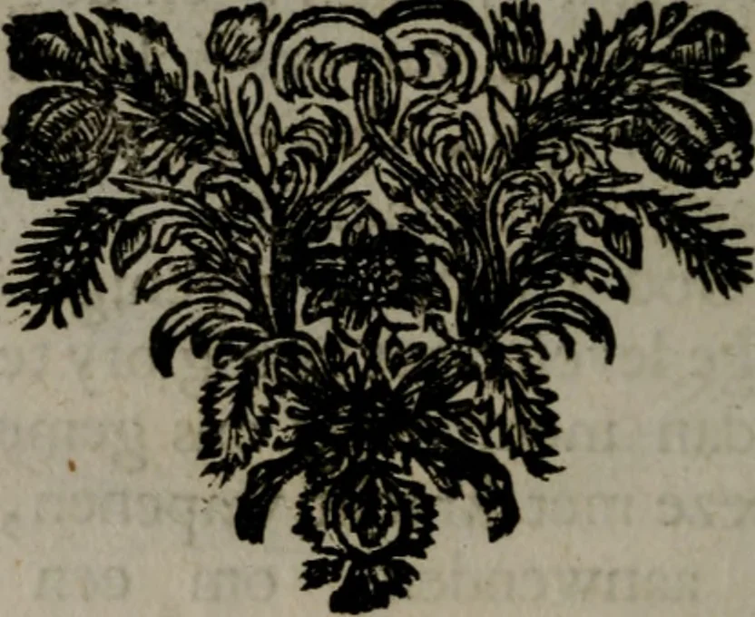 An illustration from Zederyke zinnebeelden in hondert kunstplaten vertoont, 1717, leaf 57