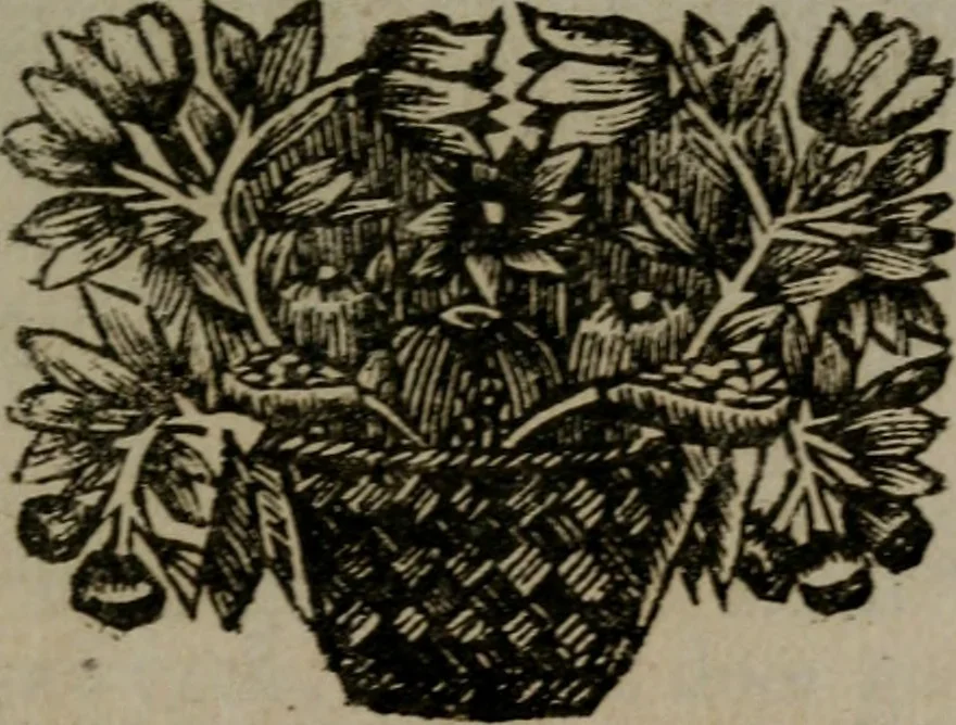 An illustration from Zederyke zinnebeelden in hondert kunstplaten vertoont, 1717, leaf 76