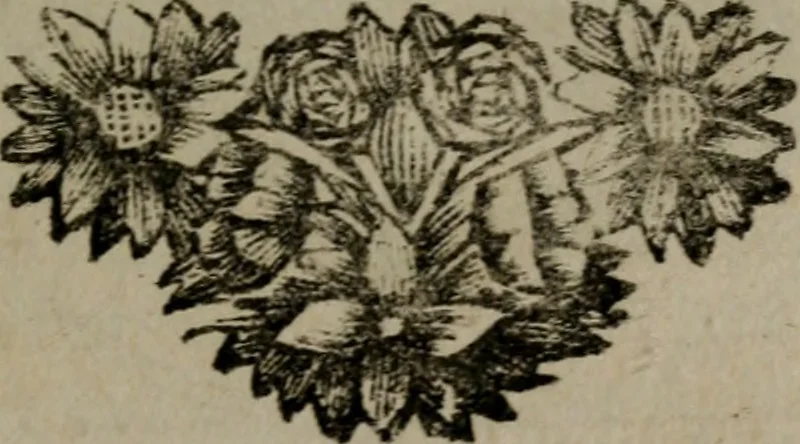 An illustration from Zederyke zinnebeelden in hondert kunstplaten vertoont, 1717, leaf 88