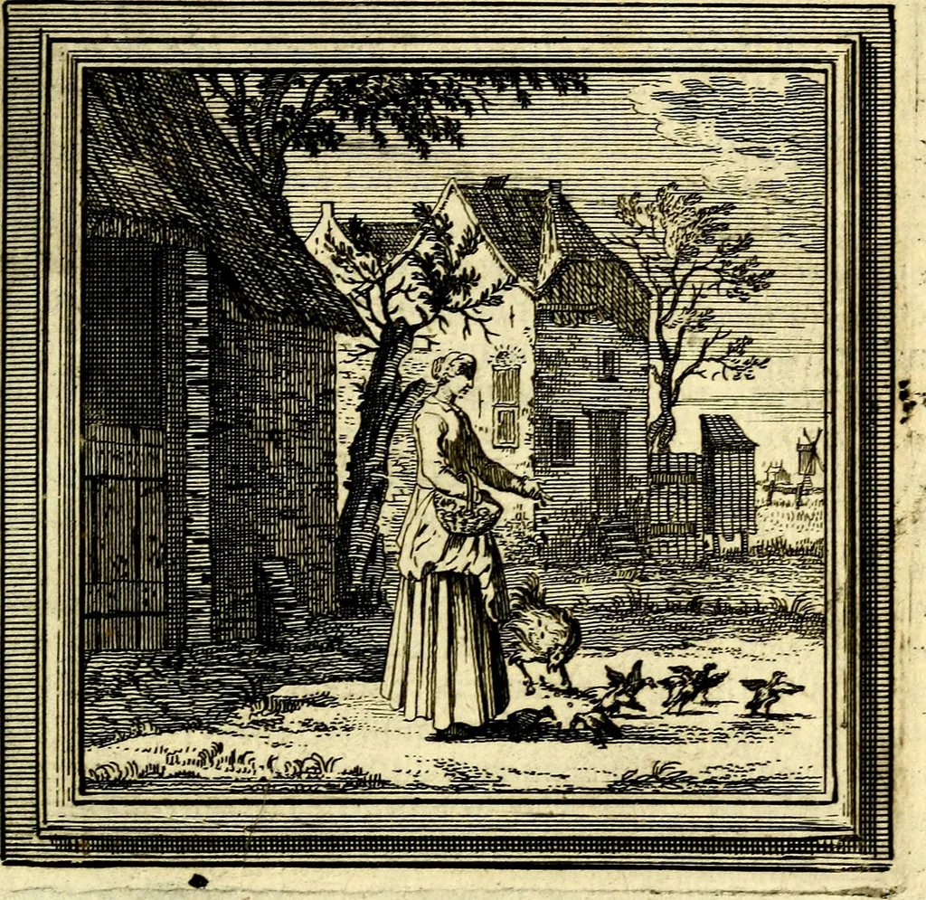 An illustration from Zederyke zinnebeelden der tonge, 1716, leaf 288