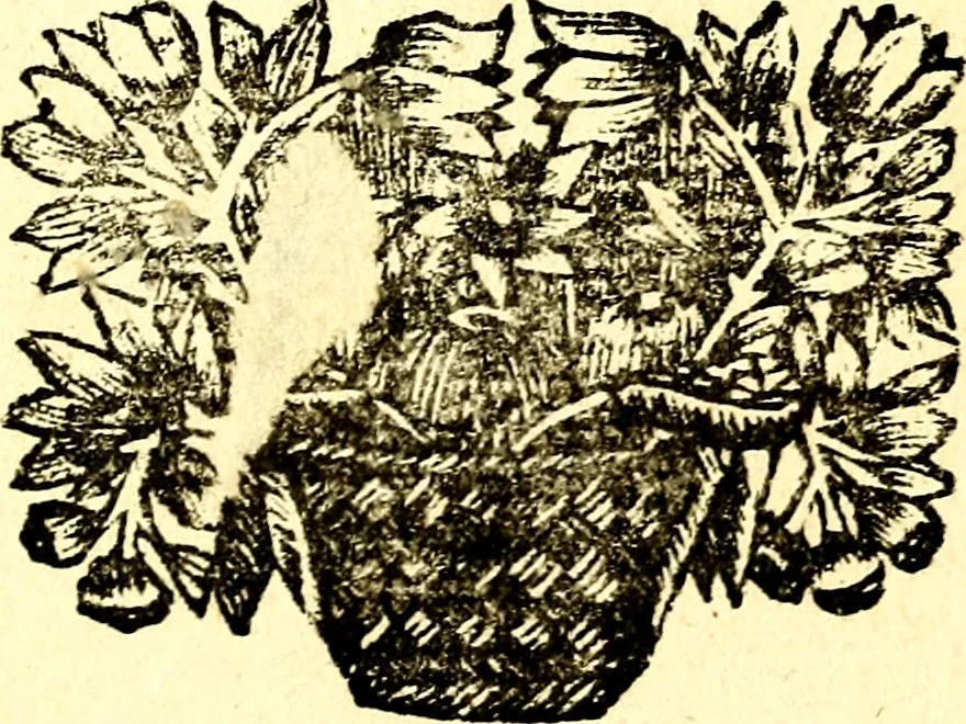 An illustration from Zederyke zinnebeelden, vertoont in konstplaten, door kragtige redeneeringen en maat-digt ten nutte van het menschelyke leven toegepast, 1713, leaf 10