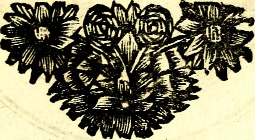 An illustration from Zederyke zinnebeelden, vertoont in konstplaten, door kragtige redeneeringen en maat-digt ten nutte van het menschelyke leven toegepast, 1713, leaf 100