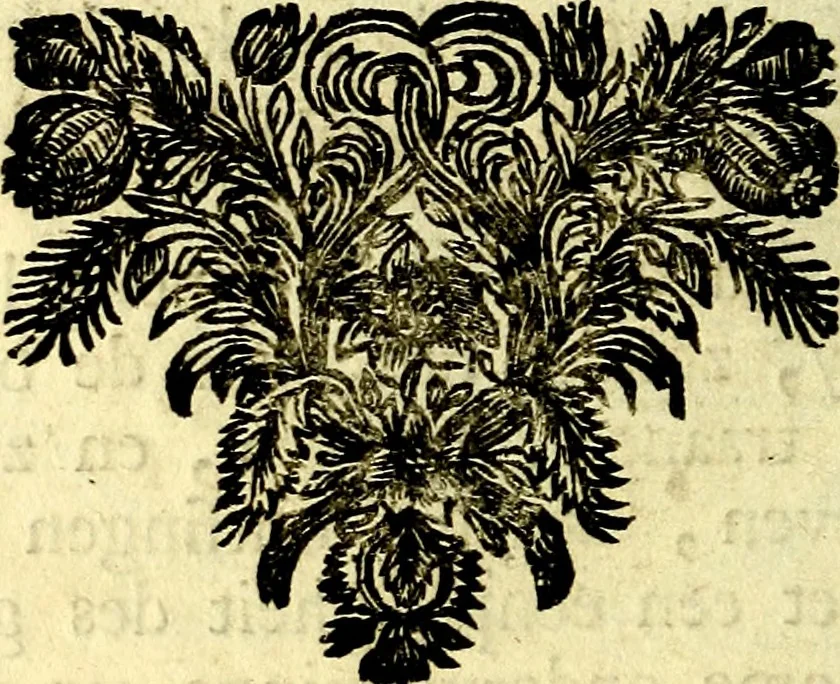 An illustration from Zederyke zinnebeelden, vertoont in konstplaten, door kragtige redeneeringen en maat-digt ten nutte van het menschelyke leven toegepast, 1713, leaf 103
