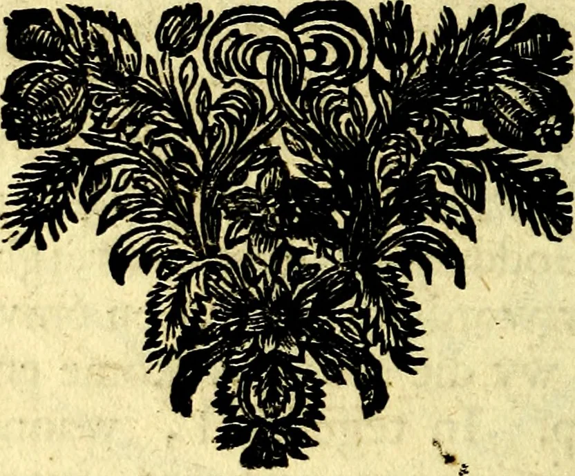 An illustration from Zederyke zinnebeelden, vertoont in konstplaten, door kragtige redeneeringen en maat-digt ten nutte van het menschelyke leven toegepast, 1713, leaf 135