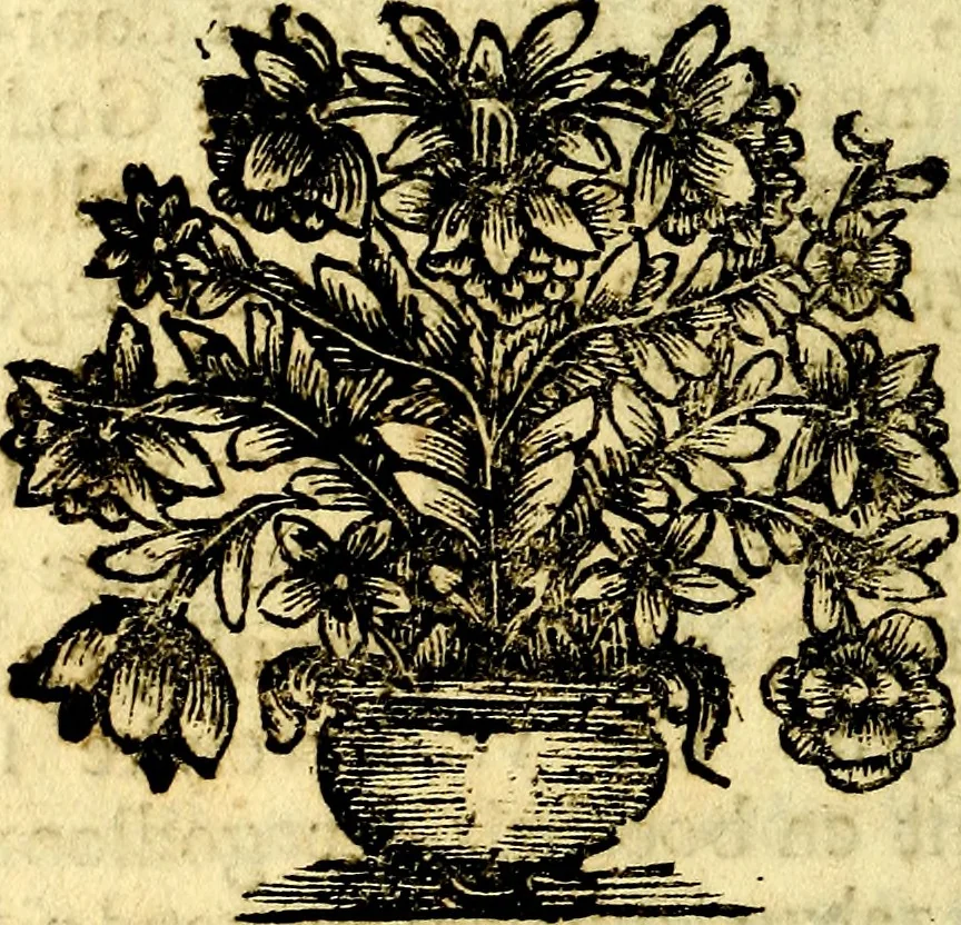 An illustration from Zederyke zinnebeelden, vertoont in konstplaten, door kragtige redeneeringen en maat-digt ten nutte van het menschelyke leven toegepast, 1713, leaf 181